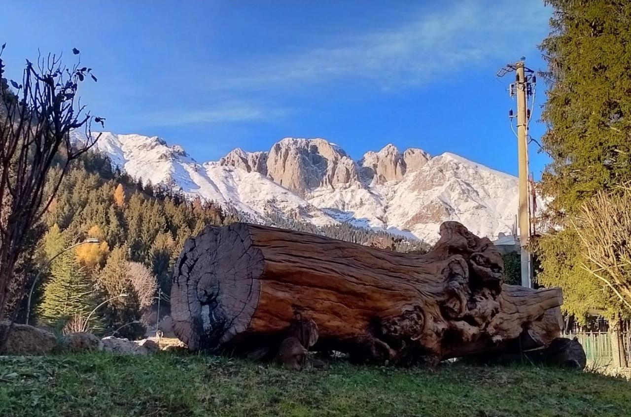 Albergo Ristorante Scanapà Castione della Presolana Extérieur photo